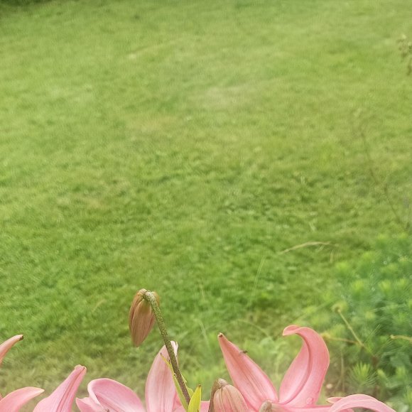 Обложка трека