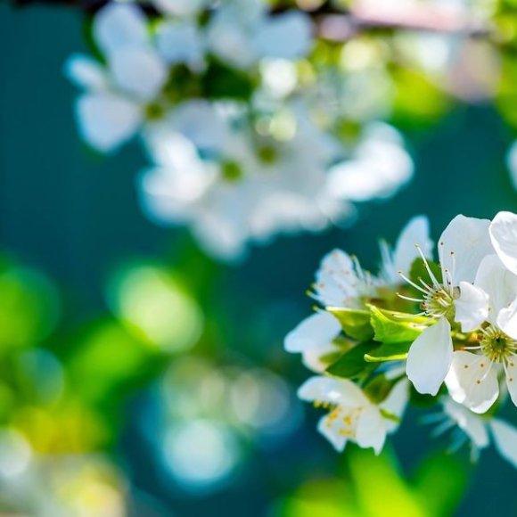 Обложка трека