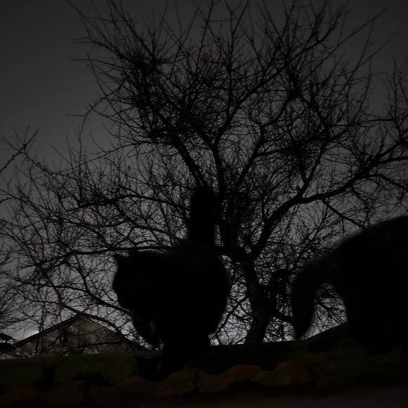 Обложка трека