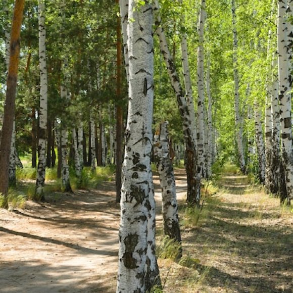 Обложка трека