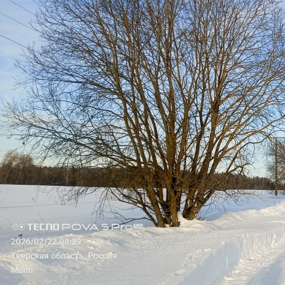 Обложка трека