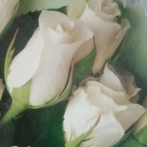 Обложка трека