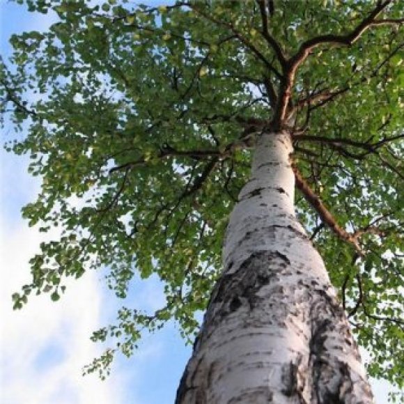 Обложка трека