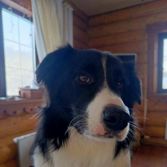 Обложка трека