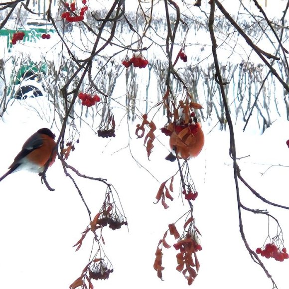 Обложка трека