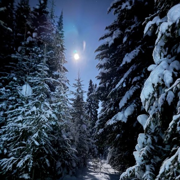 Обложка трека