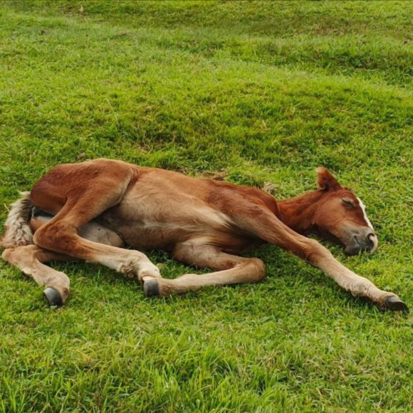 Обложка трека