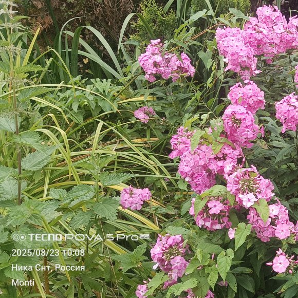 Боровик Сергей -Эта загадочная Вселенная 2