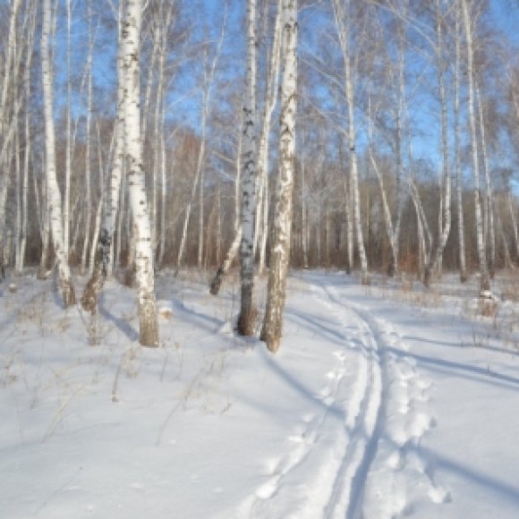 Обложка трека