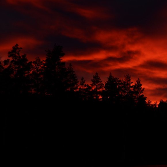 Обложка трека