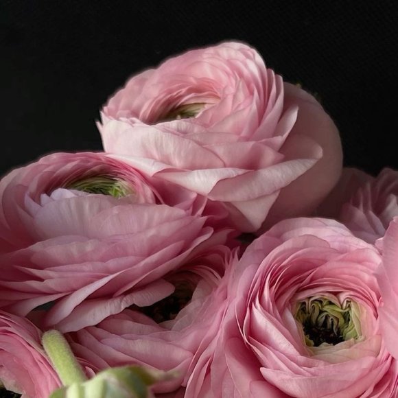 Обложка трека