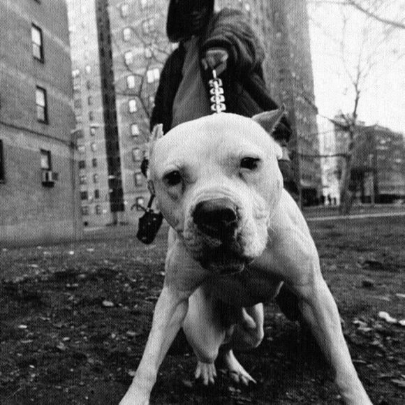 Обложка трека