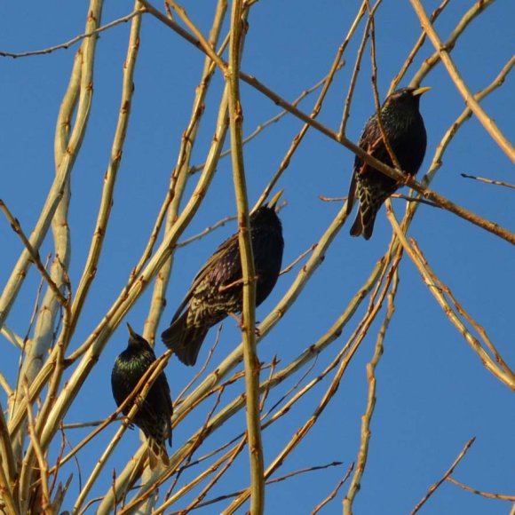 Обложка трека