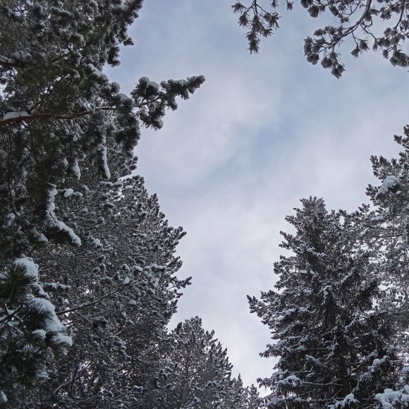 Обложка трека