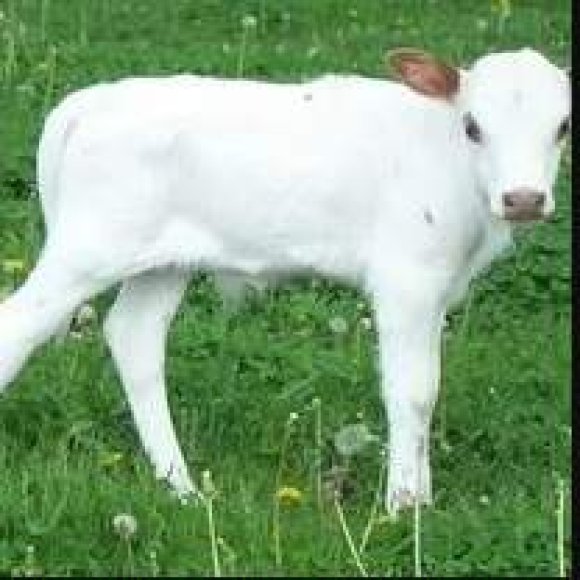 Обложка трека