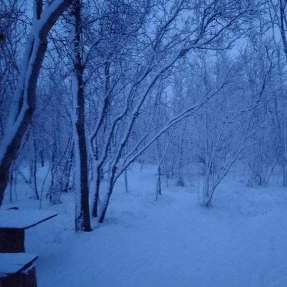 Обложка трека