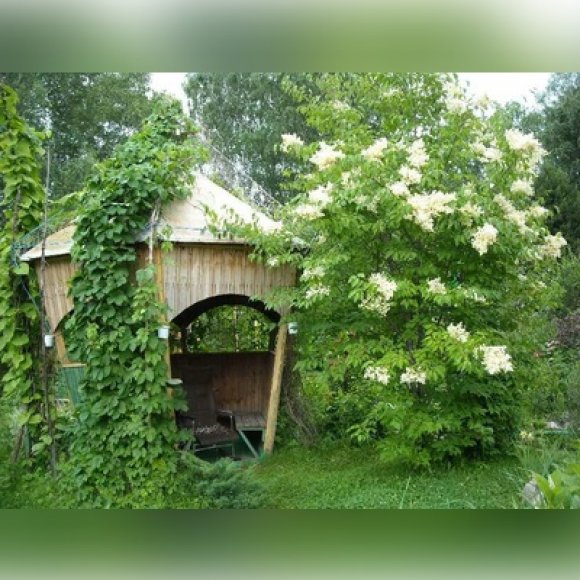 Обложка трека