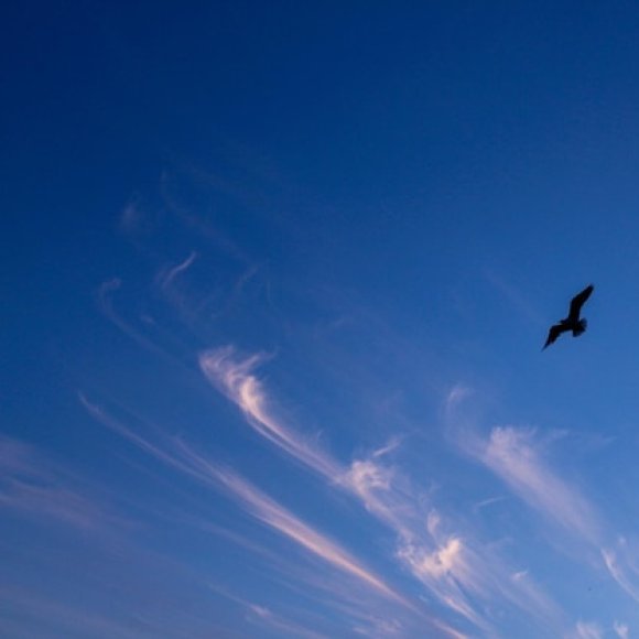 Обложка трека