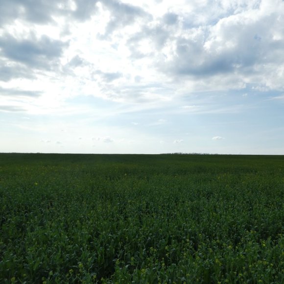 Обложка трека