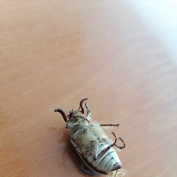 Обложка трека