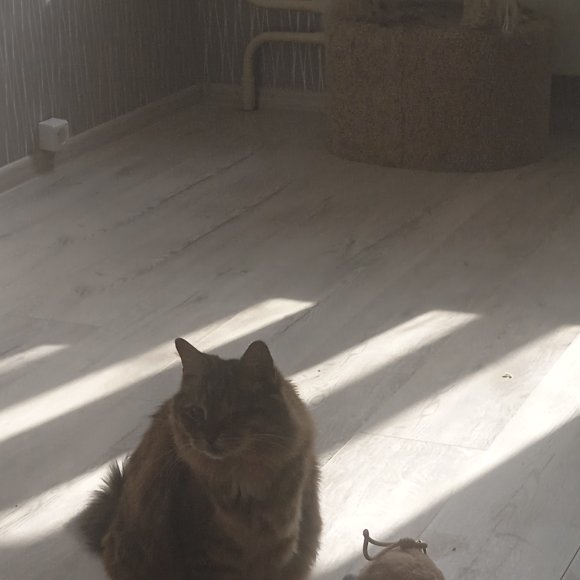 Обложка трека