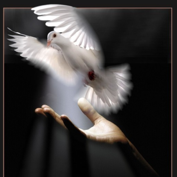 Обложка трека