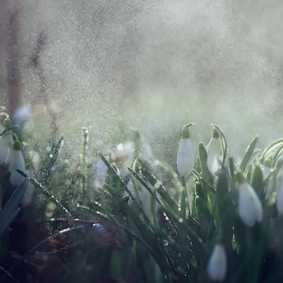 Обложка трека