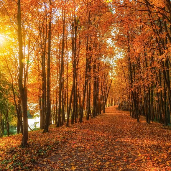 Обложка трека