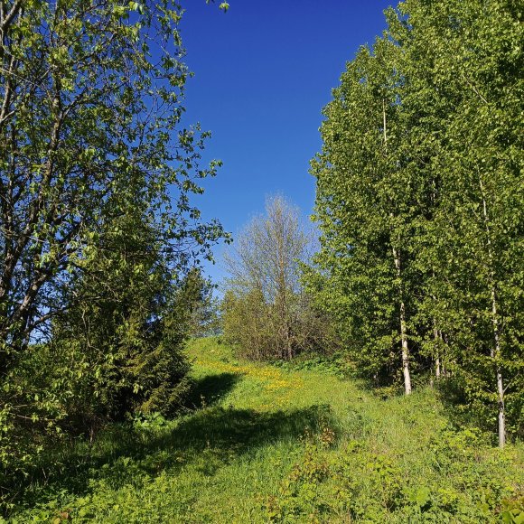 Сергей К - Пришла Весна