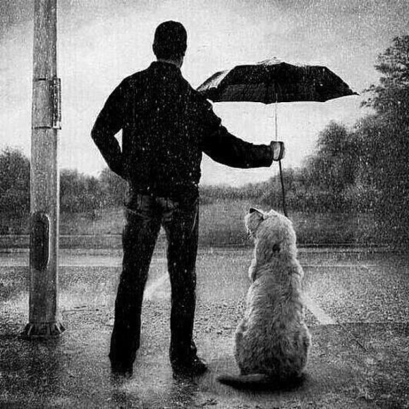 Обложка трека