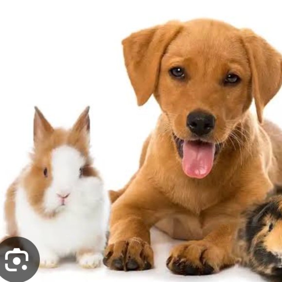 Обложка трека