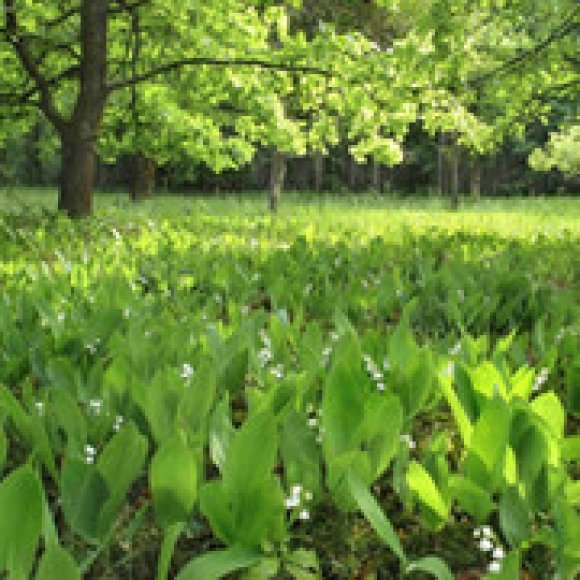 Обложка трека