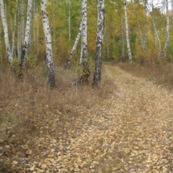 Обложка трека