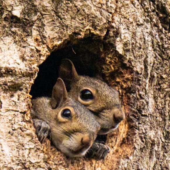 Обложка трека