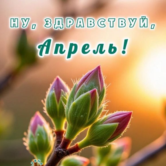 Обложка трека