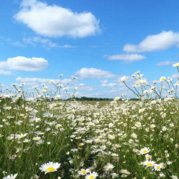 Обложка трека