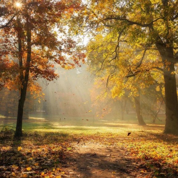 Обложка трека