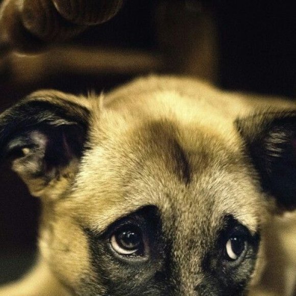 Обложка трека