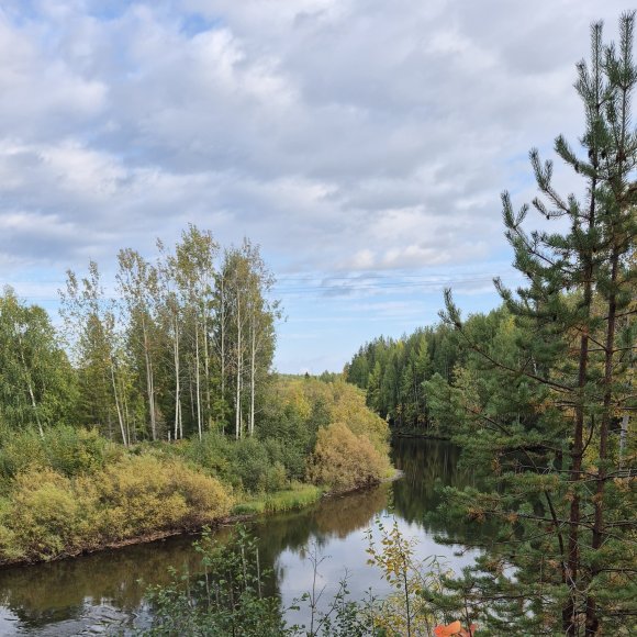 Обложка трека