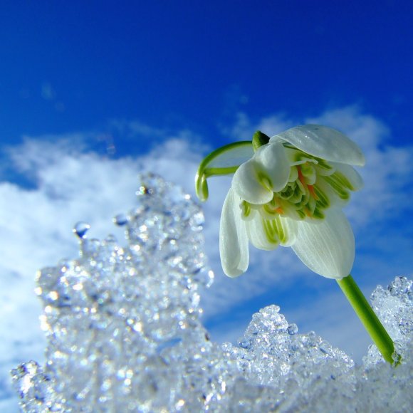 Обложка трека