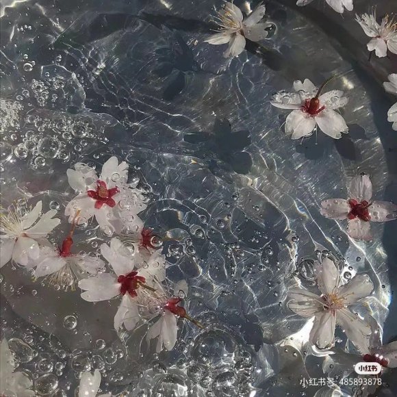 Обложка трека