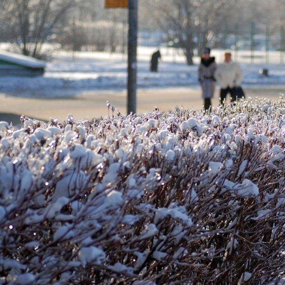 Обложка трека