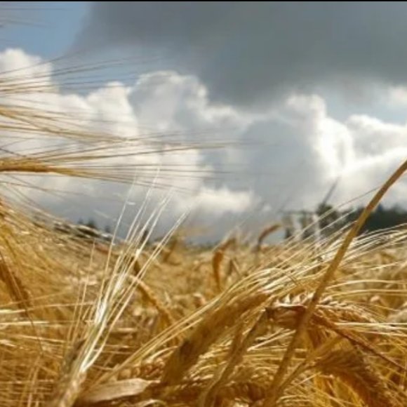 Обложка трека