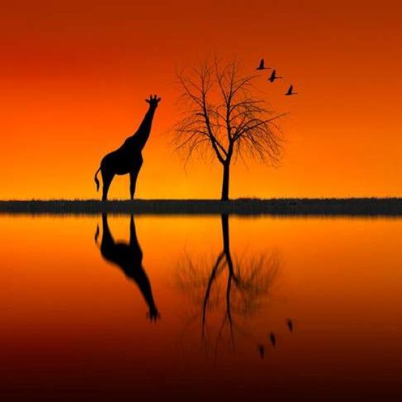 Обложка трека