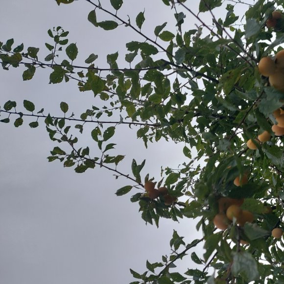 Обложка трека