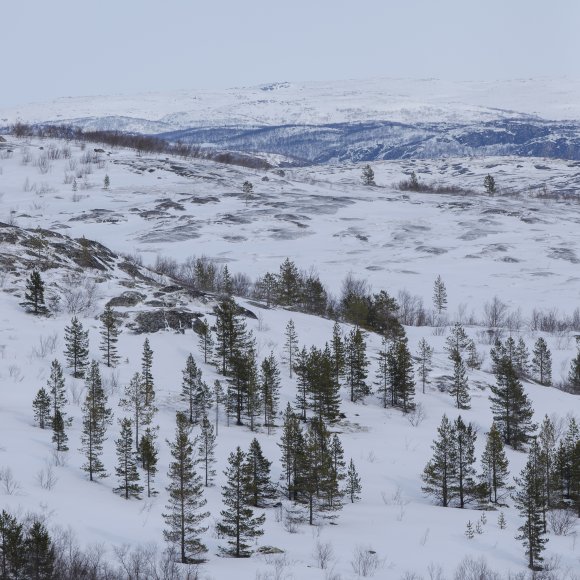 Обложка трека