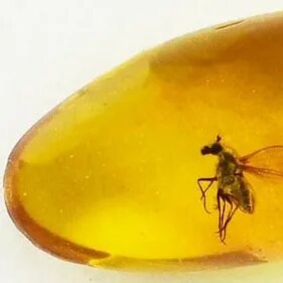 Обложка трека