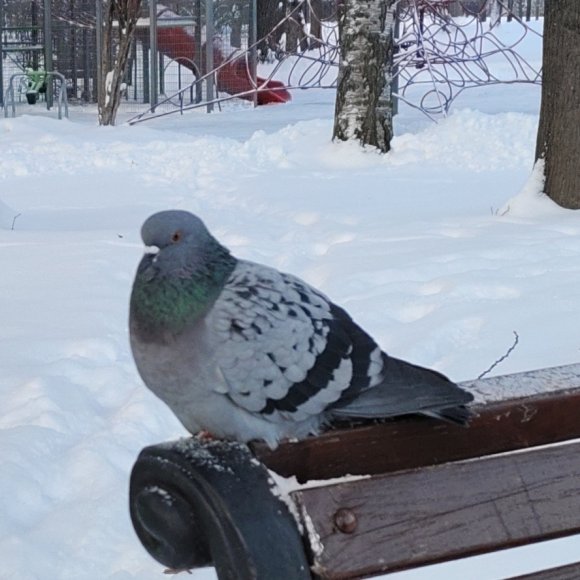 Обложка трека