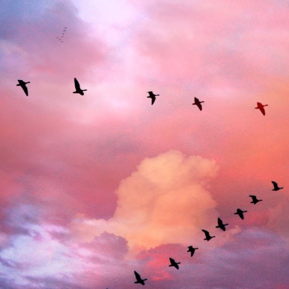 Обложка трека