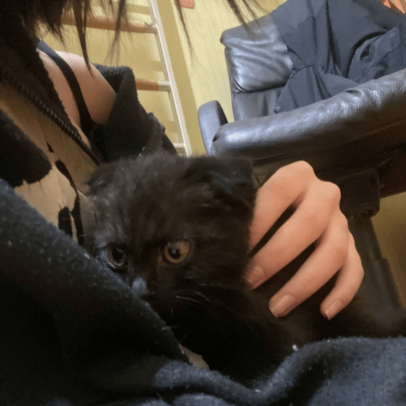 Обложка трека